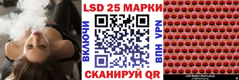 Марки NBOMe 1500мкг  купить наркоту  hydra зеркало  Стародуб 