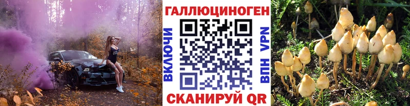 Галлюциногенные грибы прущие грибы  Стародуб 