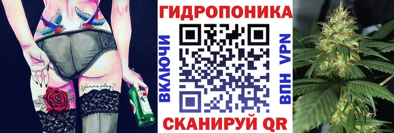 Конопля Bruce Banner  купить закладку  Стародуб 